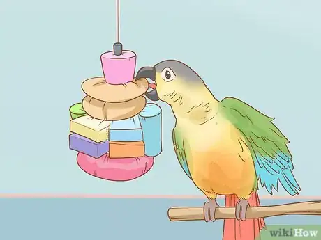 Imagen titulada Know if a Conure Is Right for You Step 4