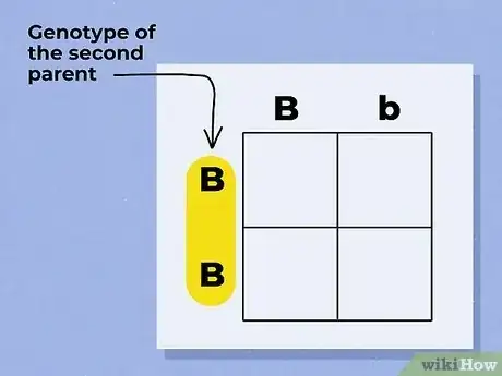 Imagen titulada Use a Punnett Square to Do a Monohybrid Cross Step 4