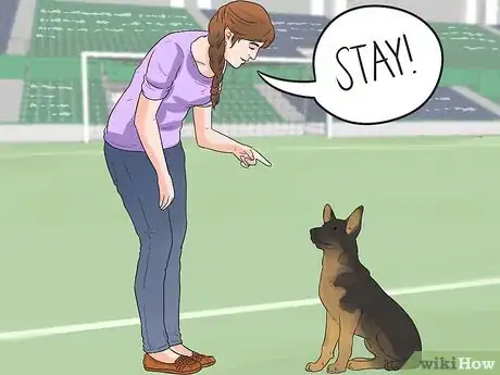 Imagen titulada Train a German Shepherd to Be a Guard Dog Step 3