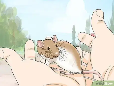 Imagen titulada Play with Your Pet Rat Step 14