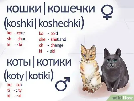 Imagen titulada Say Cat in Russian Step 4