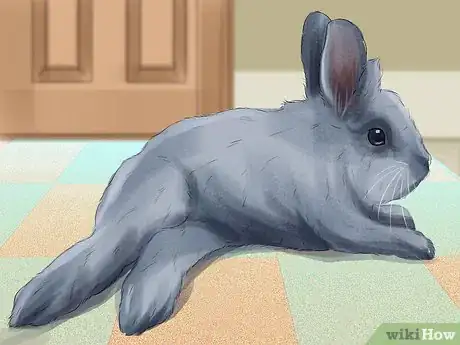 Imagen titulada Tell if Your Rabbit Is in Pain Step 7