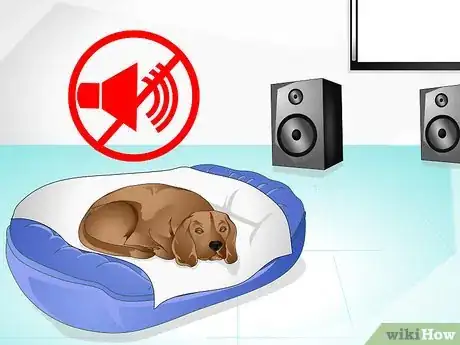 Imagen titulada Care for a Sick Dog Step 13