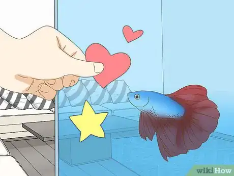 Imagen titulada Grow a Bond With Your Betta Fish Step 8