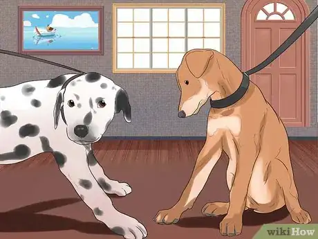 Imagen titulada Train Dalmatians Step 4