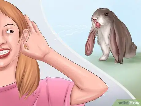 Imagen titulada Make Your Rabbit Like You Step 1