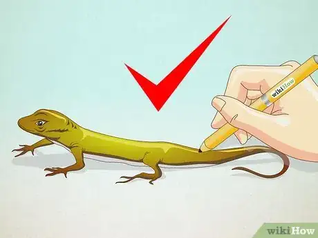 Imagen titulada Draw a Lizard Step 7