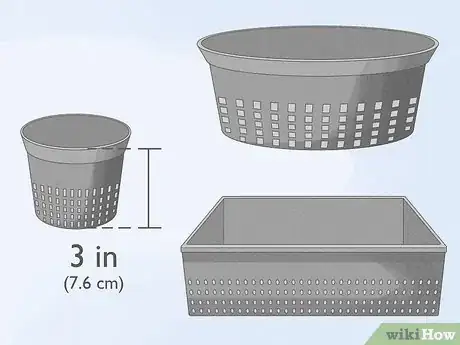 Imagen titulada Grow Watercress in a Pond Step 1