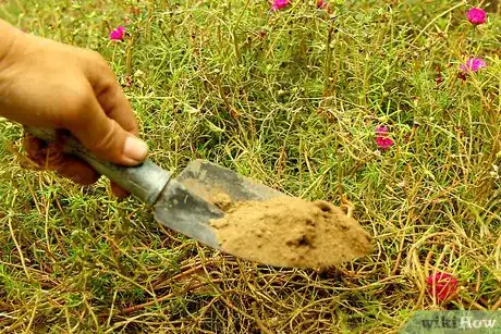 Imagen titulada Make Fake Rocks with Concrete Step 17