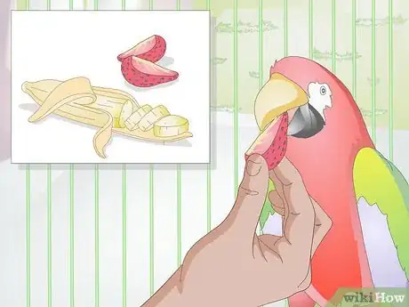 Imagen titulada Choose Treats for Pet Birds Step 2