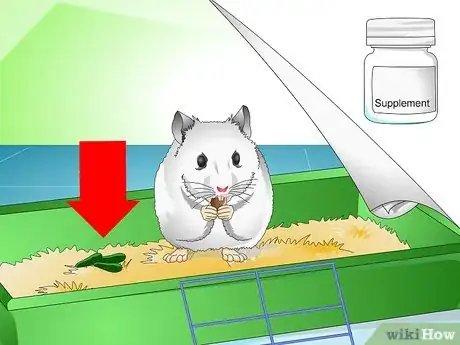 Imagen titulada Deodorize a Hamster Cage Step 11