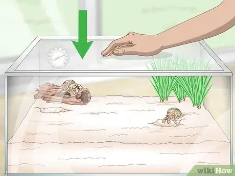 Imagen titulada Maintain Humidity in a Pet Hermit Crab Habitat Step 2