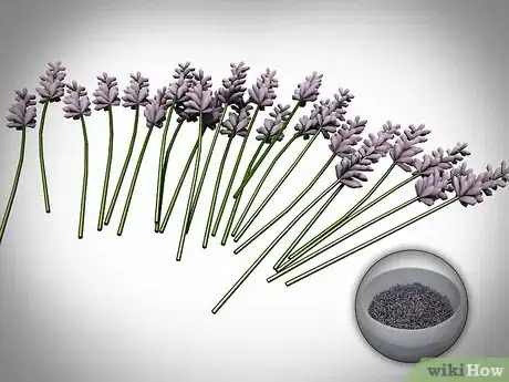 Imagen titulada Dry Your Home Grown Lavender Step 7