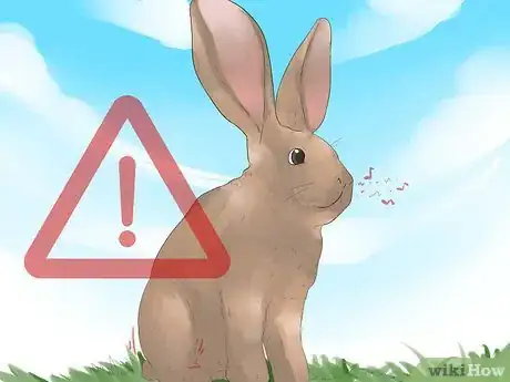 Imagen titulada Understand Your Rabbit Step 3