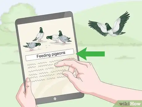 Imagen titulada Feed Pigeons Step 12