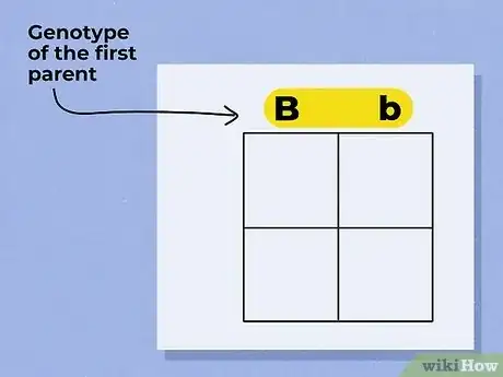 Imagen titulada Use a Punnett Square to Do a Monohybrid Cross Step 3