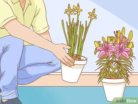 Imagen titulada Protect Your Houseplants from Pets Step 3