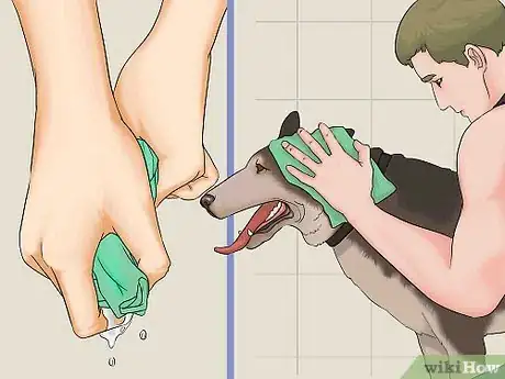 Imagen titulada Bathe a Dog in a Shower Step 14