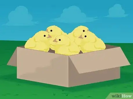 Imagen titulada Raise Baby Chickens Step 5