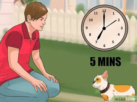 Imagen titulada Train French Bulldogs Step 14