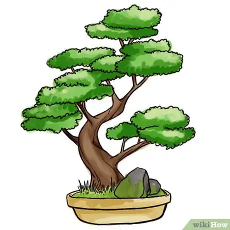 Imagen titulada Bonsai Intro