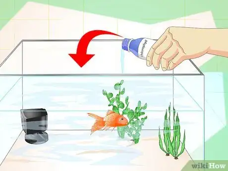 Imagen titulada Revive a Goldfish Step 14