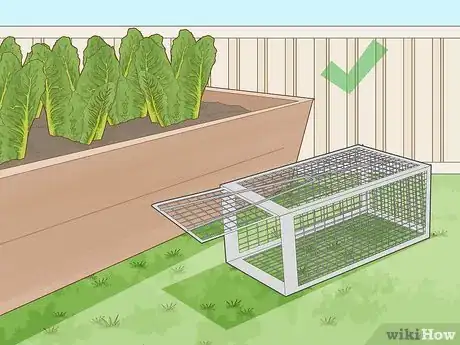 Imagen titulada Keep Rats Out of a Vegetable Garden Step 17