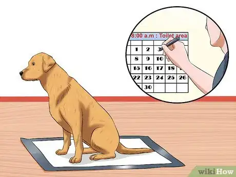 Imagen titulada Use Puppy Pads and Outdoor Potty Training Together Step 1