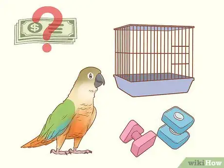 Imagen titulada Know if a Conure Is Right for You Step 9