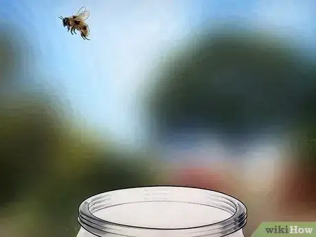 Imagen titulada Catch a Bee Without Getting Stung Step 6