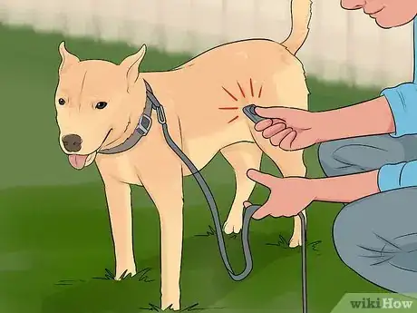 Imagen titulada Get Your Dog to Pee on Command Step 10