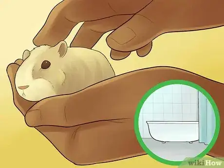 Imagen titulada Prevent a Hamster from Escaping from Its Cage Step 12