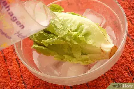 Imagen titulada Make Lettuce Extra Crispy Step 3