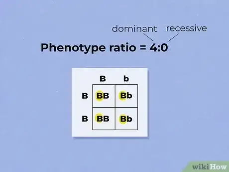 Imagen titulada Use a Punnett Square to Do a Monohybrid Cross Step 7