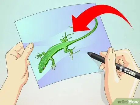 Imagen titulada Draw a Lizard Step 8