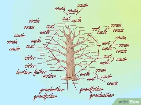 Imagen titulada Draw a Family Tree Step 2