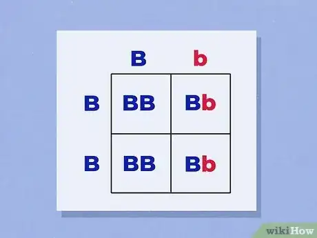 Imagen titulada Use a Punnett Square to Do a Monohybrid Cross Step 5