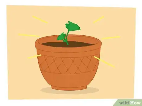 Imagen titulada Propagate Your Plants Step 14