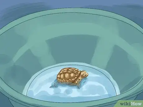 Imagen titulada Care for a Tortoise Step 7