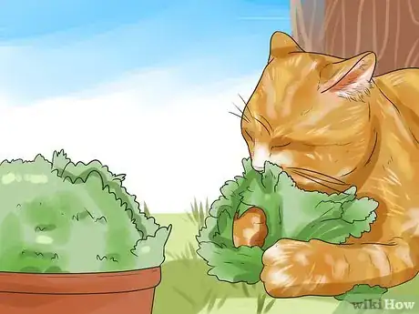 Imagen titulada Prevent Cats from Pooping in the Garden Step 12
