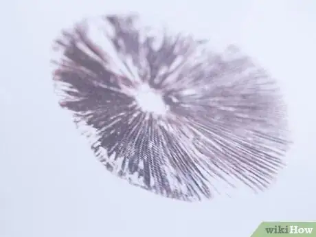 Imagen titulada Make a Mushroom Spore Print Step 5