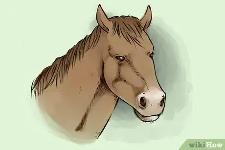 Imagen titulada Draw a Horse Step 21