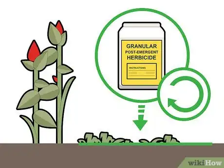 Imagen titulada Kill Grass Invading a Flower Bed Step 15