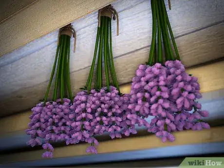 Imagen titulada Dry Your Home Grown Lavender Step 6