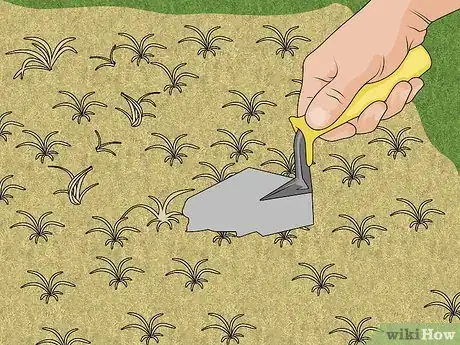 Imagen titulada Repair Spots from Pet Urine in Lawn Grass Step 4