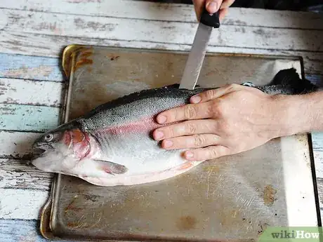 Imagen titulada Prepare Salmon for Sushi Step 10