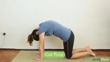 Imagen titulada Improve Spinal Flexibility with Yoga Step 1