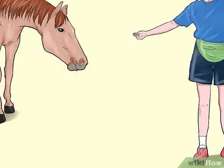 Imagen titulada Befriend a Horse Step 2