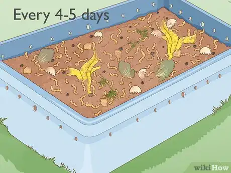 Imagen titulada Grow Your Own Fishing Worms Step 10