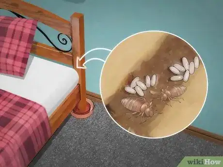 Imagen titulada Stop Bed Bug Bites Immediately Step 12